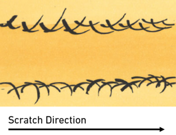 Tin Scratch Test Direction